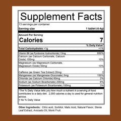 Endurolytes Fizz - Hammer Nutrition CEE