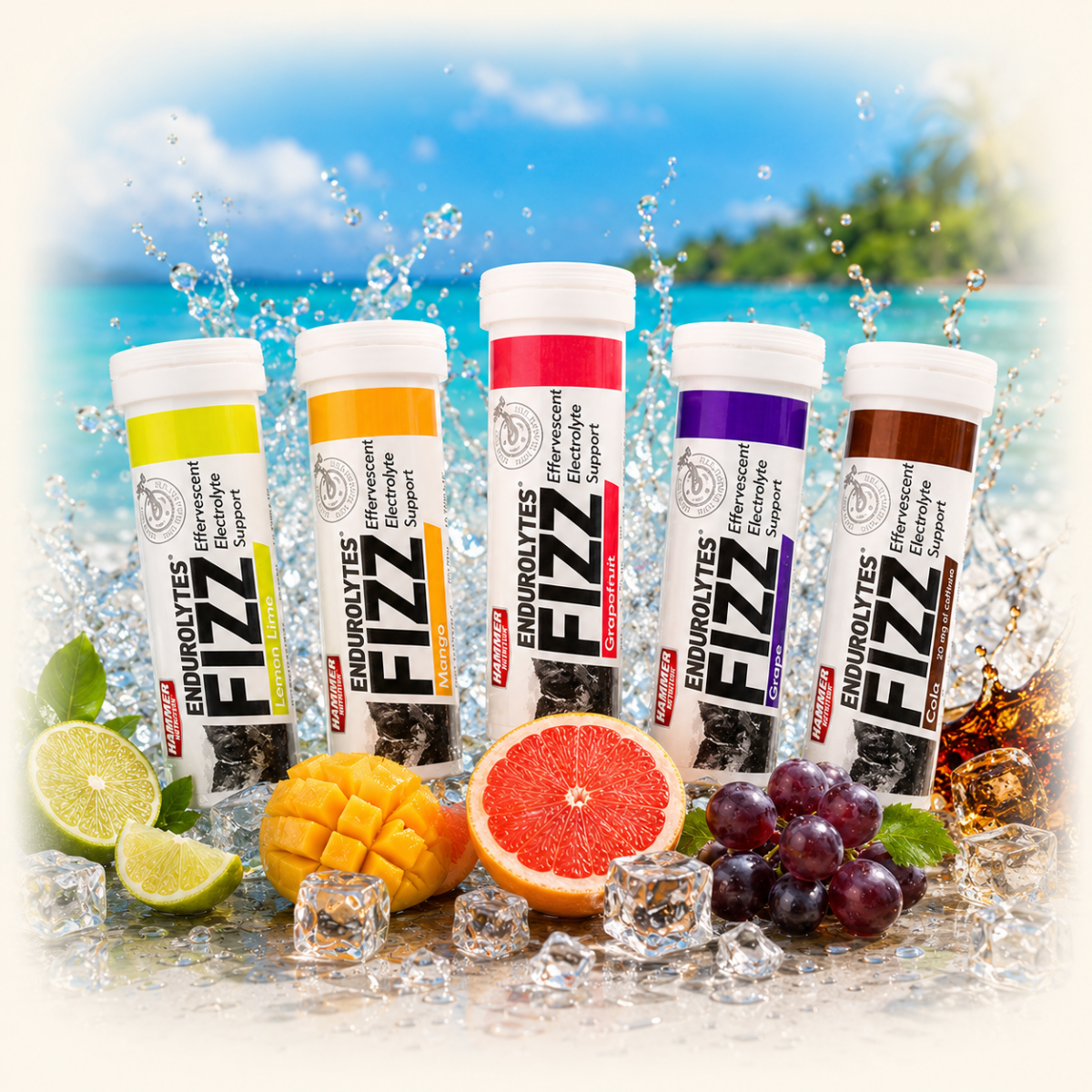 Endurolytes Fizz - Hammer Nutrition CEE