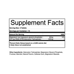 Energy Surge - Hammer Nutrition CEE