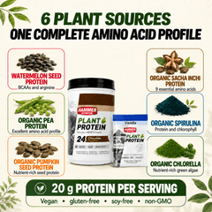 Plant Protein - Vegán fehérje forrás - Hammer Nutrition CEE
