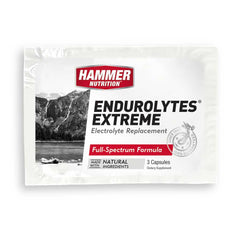 Endurolytes Extreme - Hammer Nutrition CEE