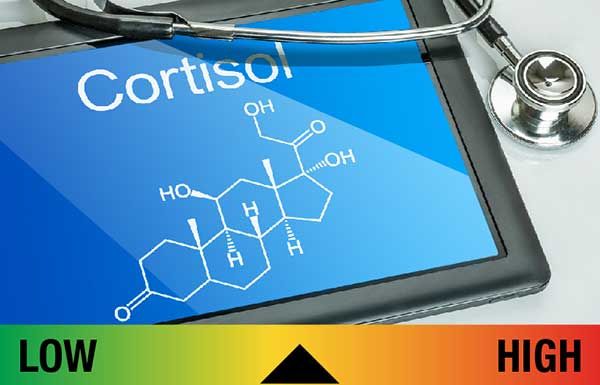 A stressz és a kortizol hormon összefüggése