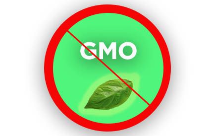 A GMO által jelentett kockázatok - A Hammer Nutrition GMO mentes táplálékkiegészítőinek háttere - Hammer Nutrition CEE