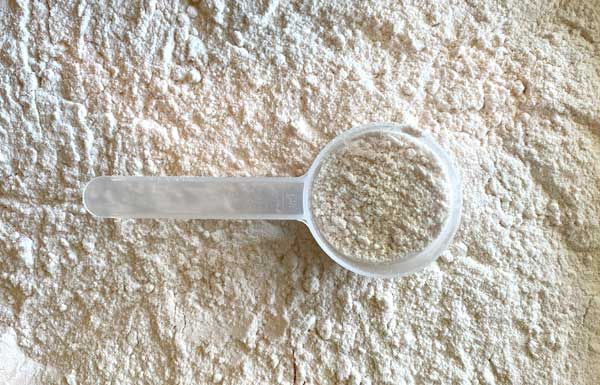 A Hammer Nutrition felső kategóriás fehérjéi - Hammer Nutrition CEE