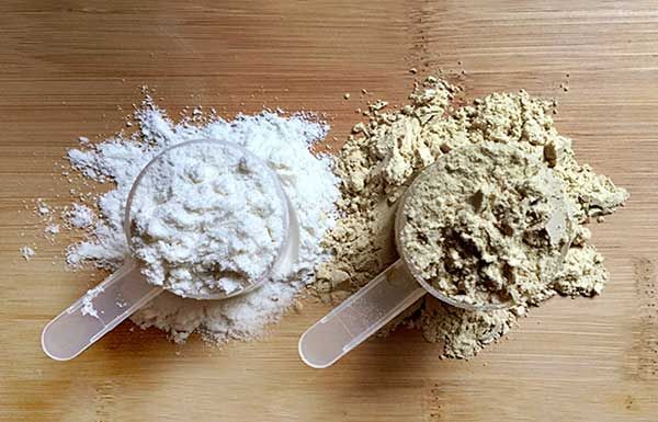 A Hammer Nutrition kiváló fehérjéi - Hammer Nutrition CEE