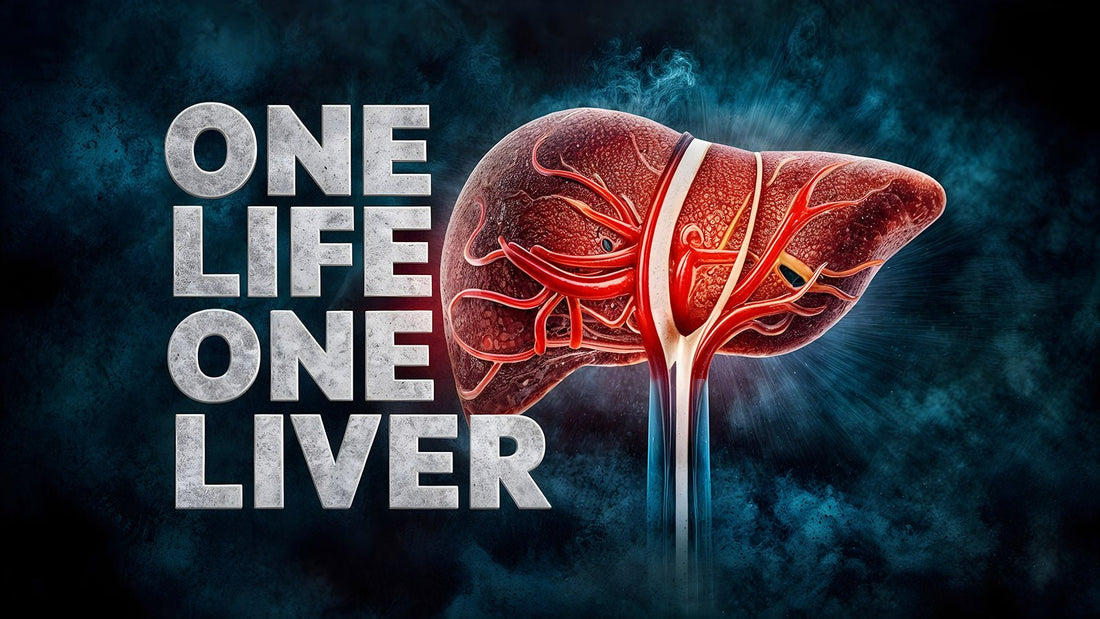 Az egészséges máj fenntartása - Hammer Nutrition CEE