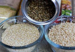 Búzaliszt helyett rozs és quinoa - Hammer Nutrition CEE