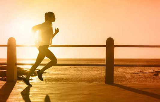 C-VITAMIN – ERŐS VÉDELEM - Hammer Nutrition CEE