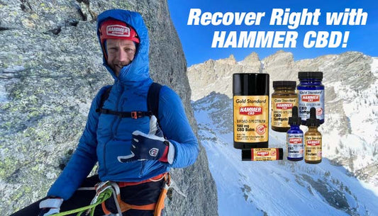 CBD – Alapvető kulcs a maximális regenerálódáshoz - Hammer Nutrition CEE