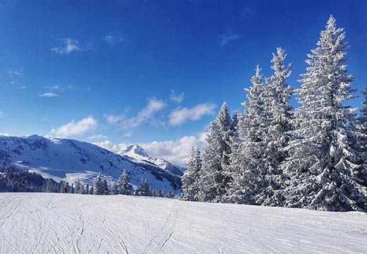Megfelelő hidratáció télen is - Hammer Nutrition CEE
