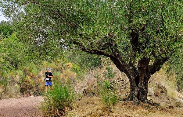 MENJ GÖRÖGORSZÁGBA VAGY MENJ HAZA! - Hammer Nutrition CEE