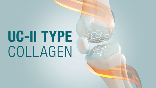 Miért jobb a UC-II típusú kollagén az ízületvédelemhez, mint más kollagénfajták? - Hammer Nutrition CEE