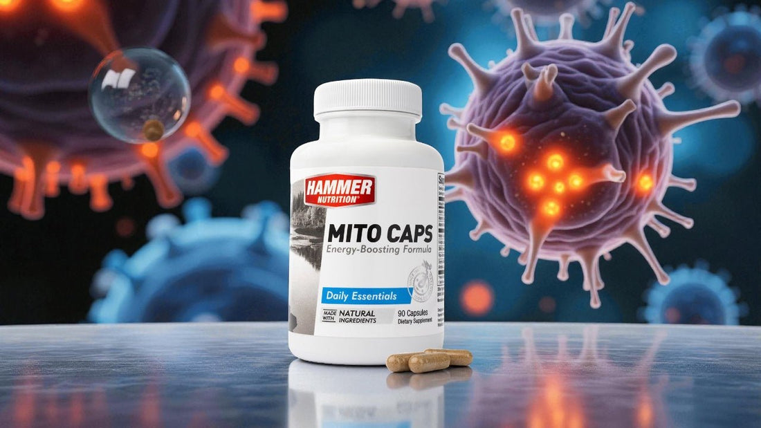 MITO CAPS – Az igazi energia a sejtekben születik - Hammer Nutrition CEE