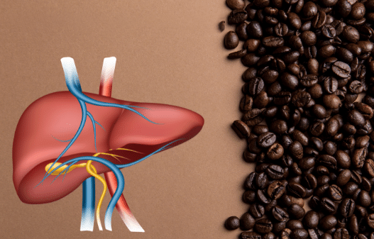 Mutasd meg a májadnak, hogy mennyire szereted! Kávézz! - Hammer Nutrition CEE