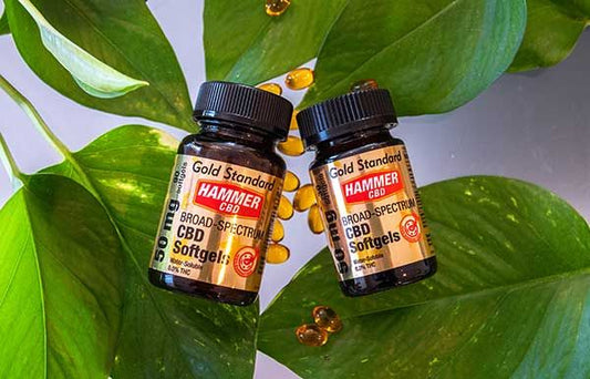 Nem tudsz gyógyszer nélkül aludni? - Hammer Nutrition CEE