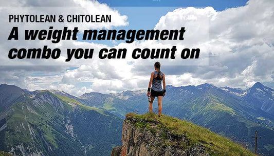 Testsúlyszabályozás szezonon kívül! - Hammer Nutrition CEE