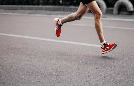 TISSUE REJUVENATOR - Hammer Nutrition CEE