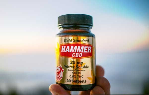 Tökéletes regeneráció a CBD-vel! - Hammer Nutrition CEE