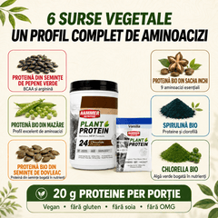 Plant Protein - Vegán fehérje forrás - Hammer Nutrition CEE